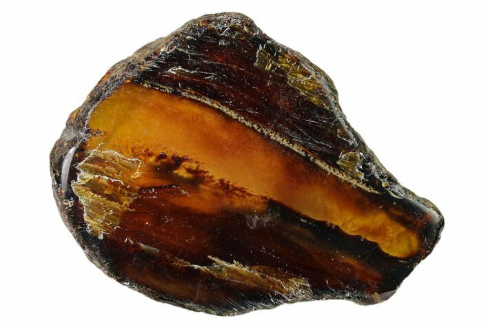 Polished Blue Indonesian Amber - West Java, Indonesia #162558